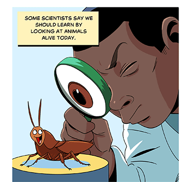 Text: Some scientists say we should learn by looking at animals alive today. Illustration: A young scientist peers dramatically through a magnifying glass, looming over a very happy cockroach that looks back at him.