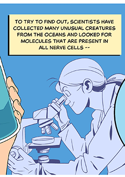 Text: To try to find out, scientists have collected many unusual creatures from the oceans and looked for molecules that are present in all nerve cells — Illustration: A scientist with a ponytail and wearing a lab coat looks through a microscope.
