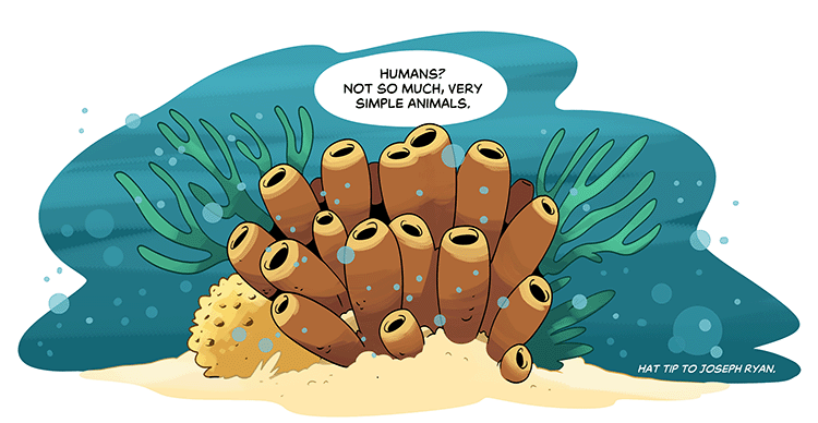 Text: “Humans? Not so much, very simple animals.” Illustration: A scene of a group of yellow sponges, surrounded by colorful coral and warm golden sand. Subtitle: Hat tip to Joseph Ryan.
