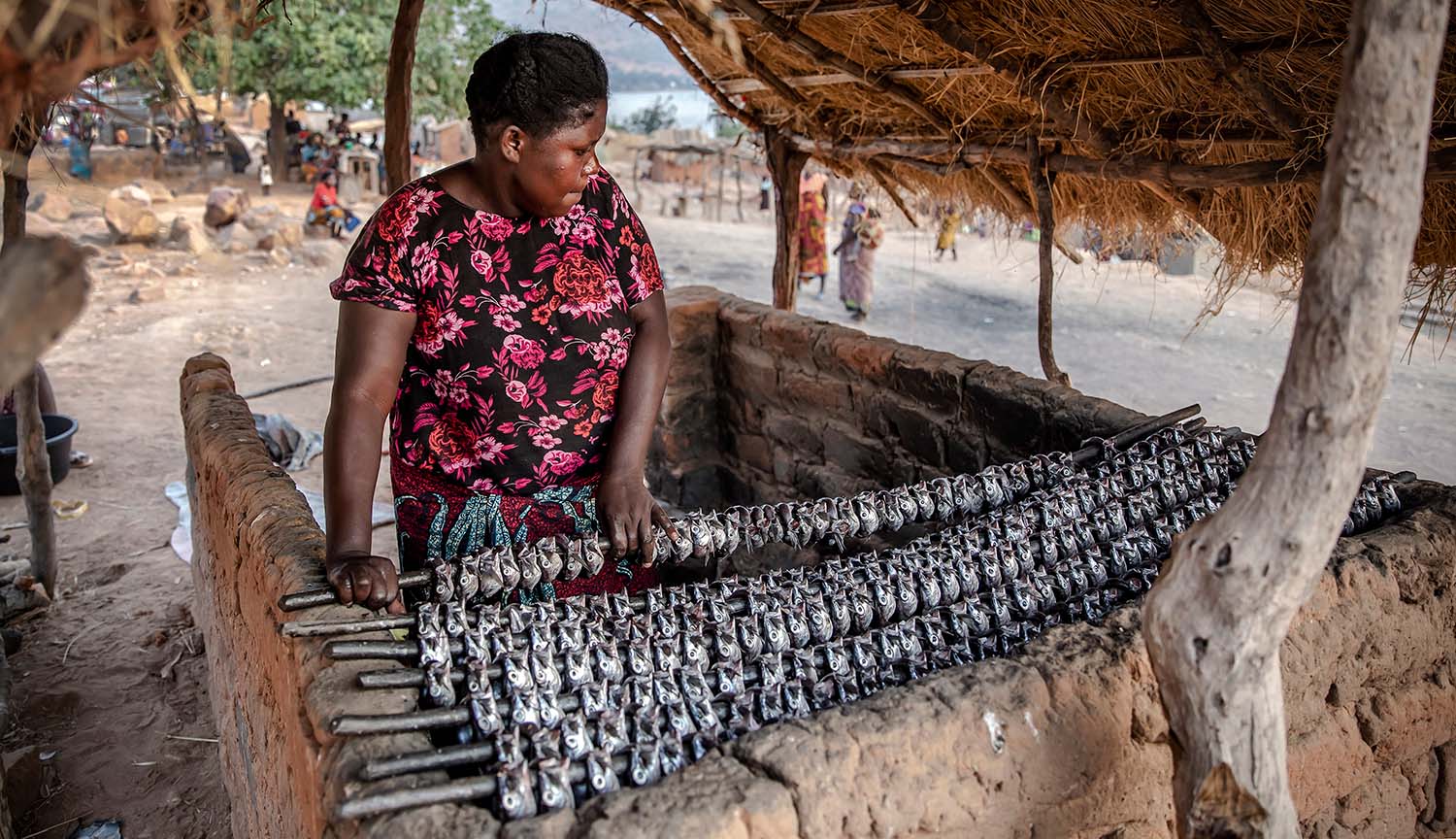 A woman arranges dozens of small fish on several rods to be smoked.