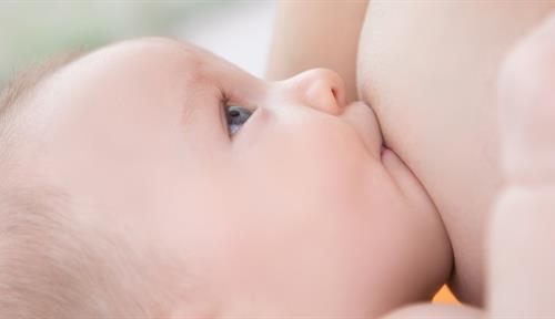 A baby suckles at a mother’s breast. 