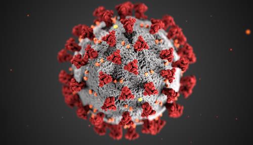Illustration of a coronavirus showing a grey sphere studded with many red protrusions.