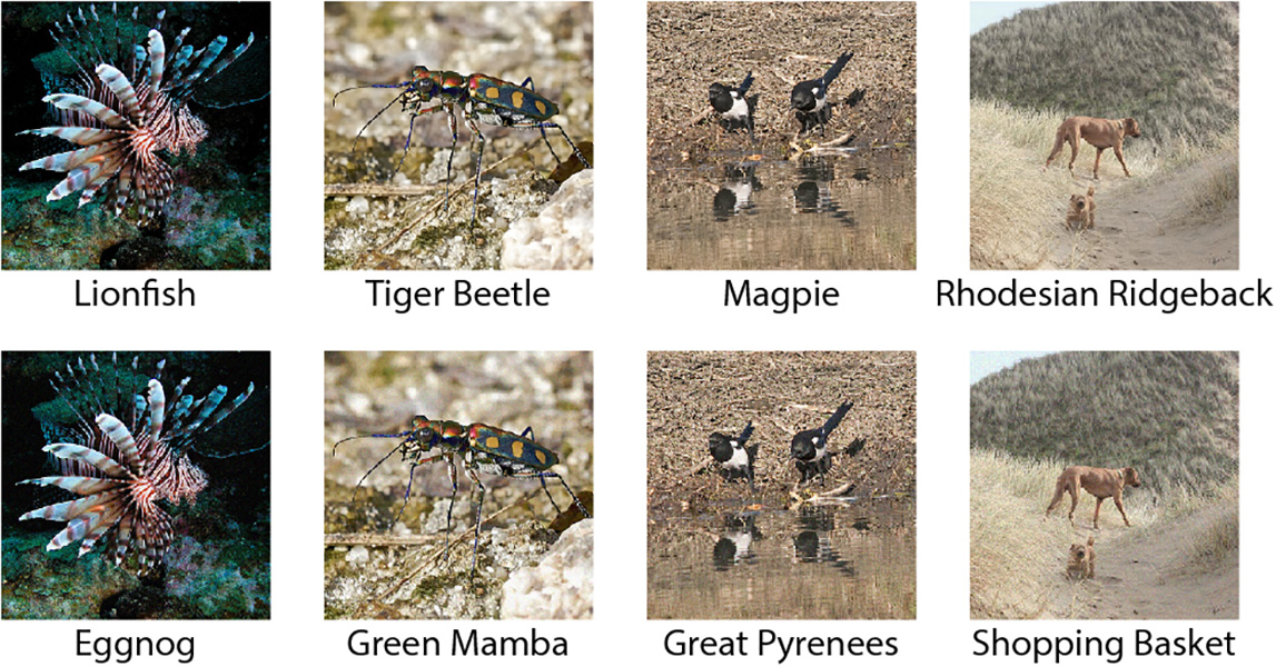 Four images that confused a computer vision program