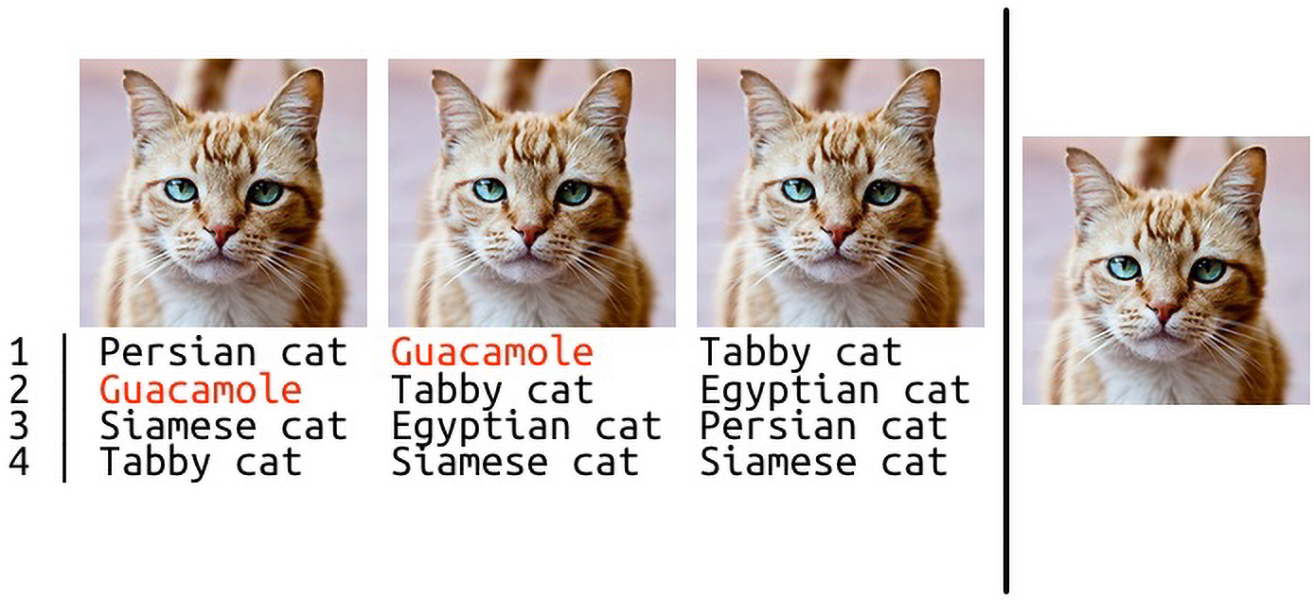 Four images of a cat some of which are incorrectly labelled by a computer.