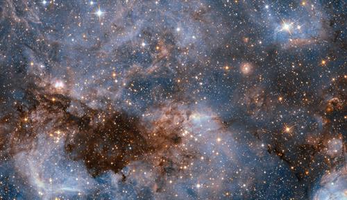 Hubble photo shows clouds of gas punctuated by dark spots of dust in an active star-forming region of the Large Magellanic Cloud galaxy.