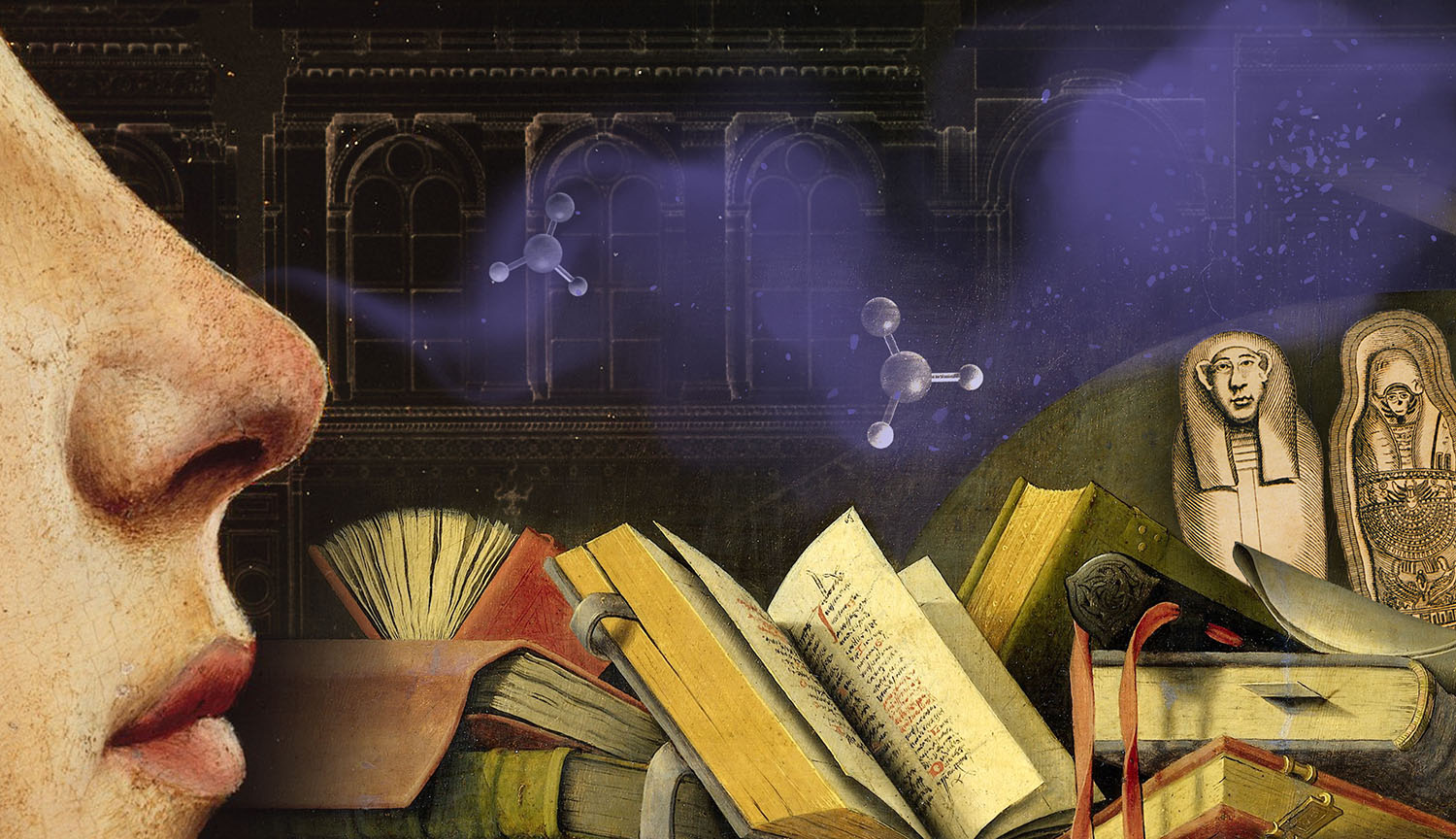 A face in profile against a background of books, sarcophagi and scent molecules.