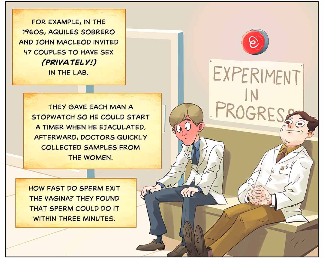 For example, in the 1960s, Aquiles Sobrero and John MacLeod invited 47 couples to have sex (privately!) in the lab. They gave each man a stopwatch so he could start a timer when he ejaculated. Afterward, doctors quickly collected samples from the women. How fast do sperm exit the vagina? They found that sperm could do it within three minutes. Illustration: Two scientists in white coats sit wait by a laboratory door, with a sign behind them that reads “Experiment in progress.”