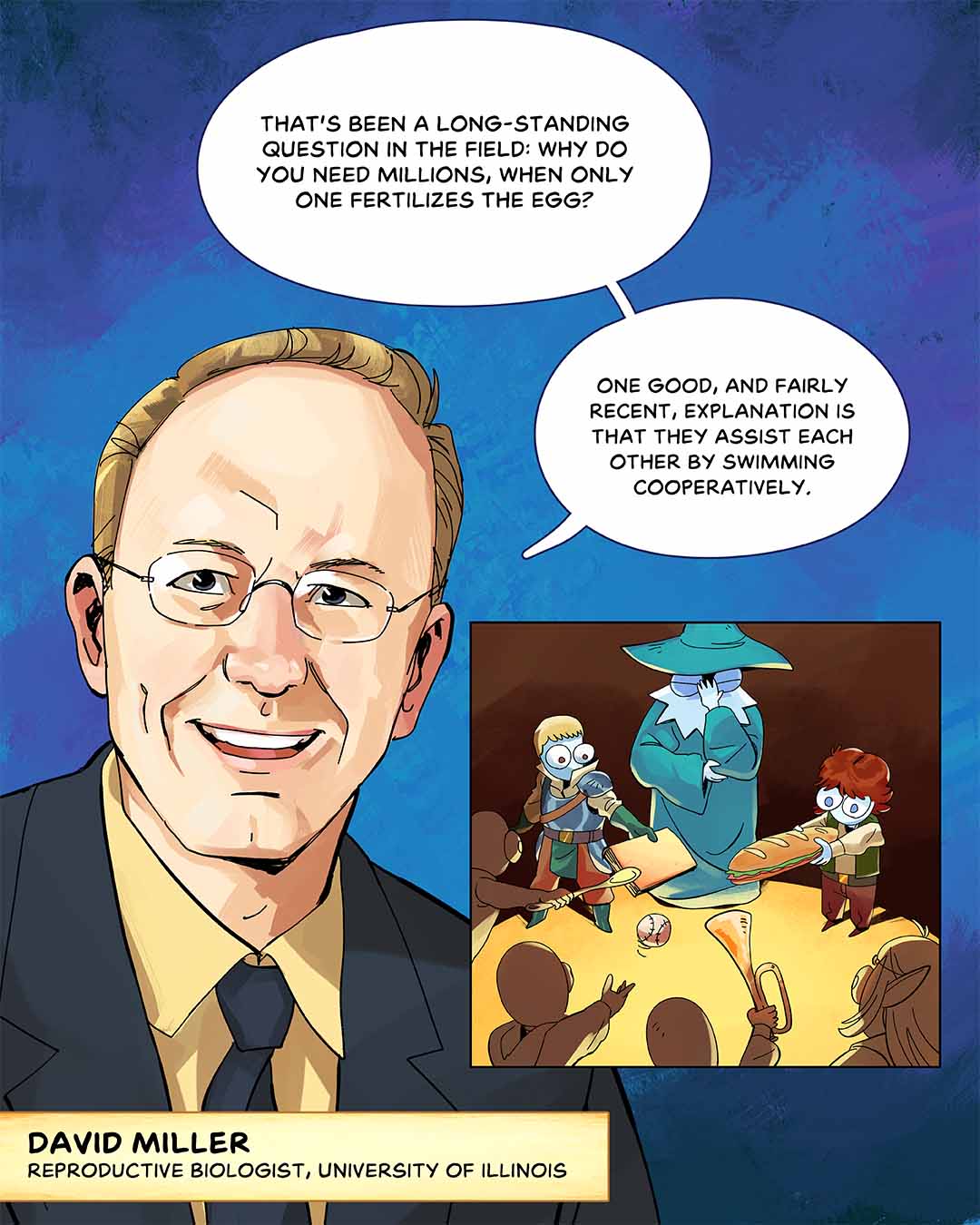 “That’s been a long-standing question in the field: why do you need millions, when only one fertilizes the egg? One good, and fairly recent, explanation is that they assist each other by swimming cooperatively,” says David Miller, reproductive biologist, University of Illinois. Illustration: Portrait of a man with glasses, in a suit, with a speech bubble overhead. Inset image of characters standing in a circle offering various items — a book, a spoon, a ball, a trumpet, a sandwich — as the wizard looks on.
