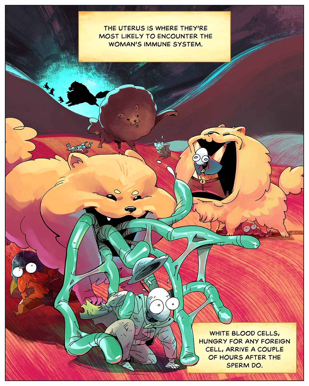 The uterus is where they’re most likely to encounter the woman’s immune system. White blood cells, hungry for any foreign cell, arrive a couple of hours after the sperm do. Illustration: Large predatory creatures (representing white blood cells) chase and capture panicked sperm.