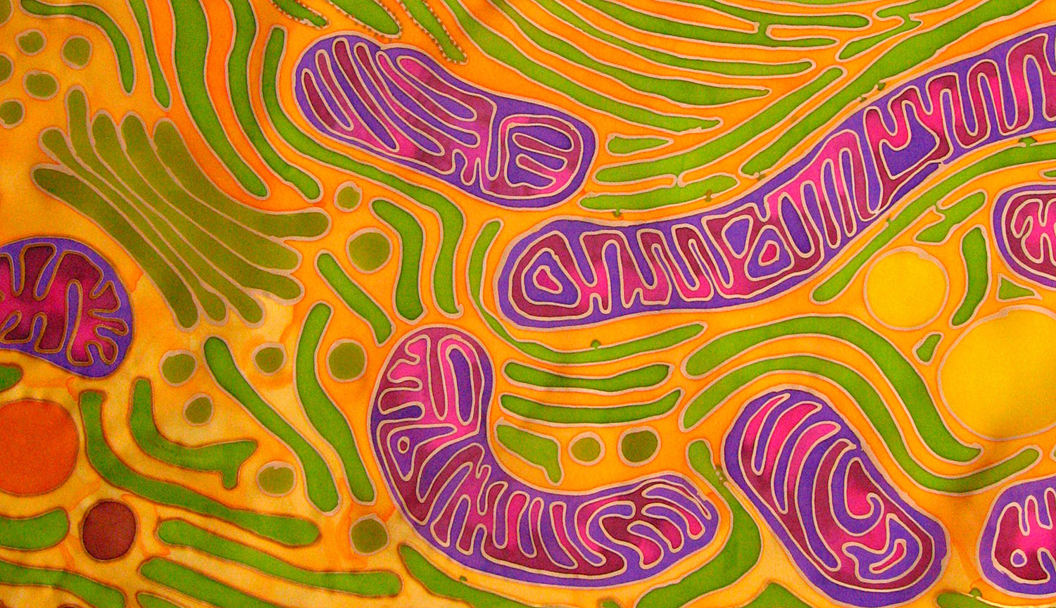 Cartoony illustration of mitochondria as well as other cellular organelles.