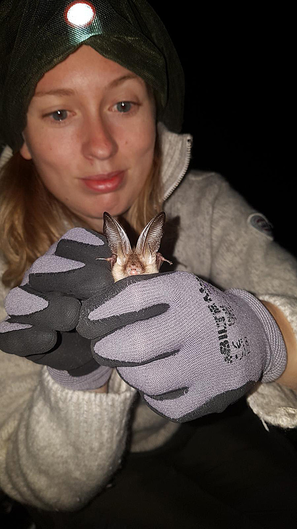 A woman wearing a headlamp holds a bat in her gloved hands for the camera.