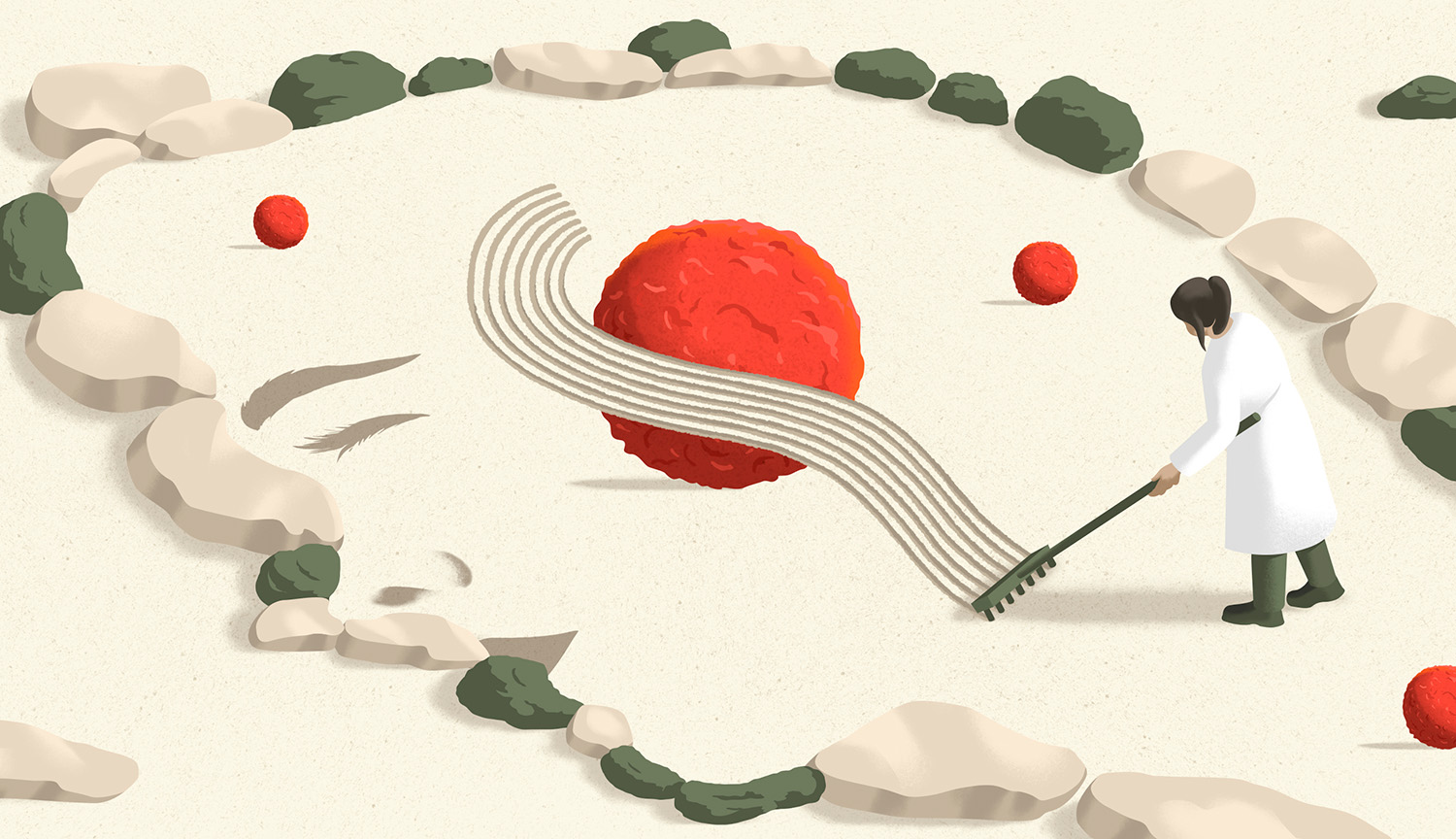 Ilustration of a doctor raking in a Japanese rock garden drawn to resemble a person’s profile, symbolically erasing a tumor cell by reducing stress.