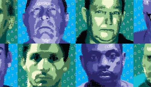 Cold cases and newer cases are yielding their secrets to genetic genealogy. These mugshot-style illustrations are of eight men arrested for murder, rape or both after the method tracked them down.