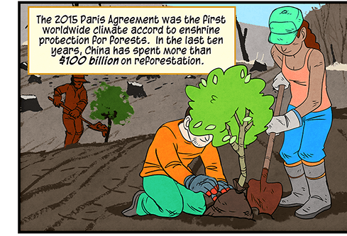 Text: The 2015 Paris Agreement was the first worldwide climate accord to enshrine protection for forests. In the last ten years, China has spent more than $100 billion on reforestation. In the U.S., forests are expanding too. Illustration: Several people work together to plant trees, some digging with a shovel and others positioning the young trees into the holes. In the background is a barren landscape with tree stumps.