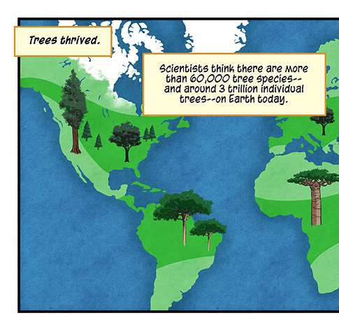 Text: Trees thrived. Scientists think there are more than 60,000 tree species — and around 3 trillion individual trees — on Earth today. They cover about a third of the planet’s land, if you leave out Antarctica. Illustration: World map showing green land and blue water, with various types of trees in different continents.