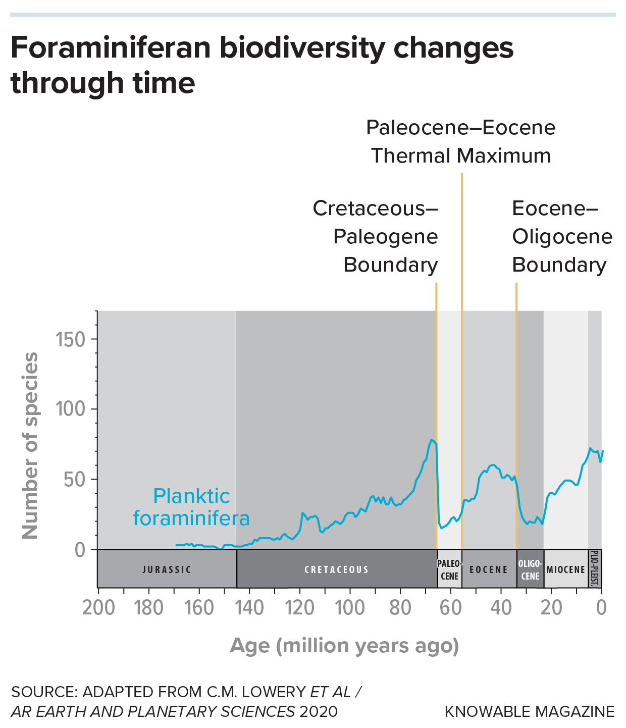 A graph shows the rise and fall of foraminifera diversity over time, through several geological time periods that had drastic climate shifts.