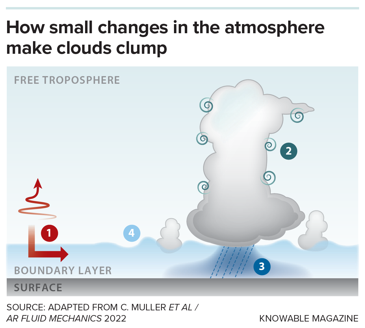 A graphic shows several ways whereby clouds clump together.