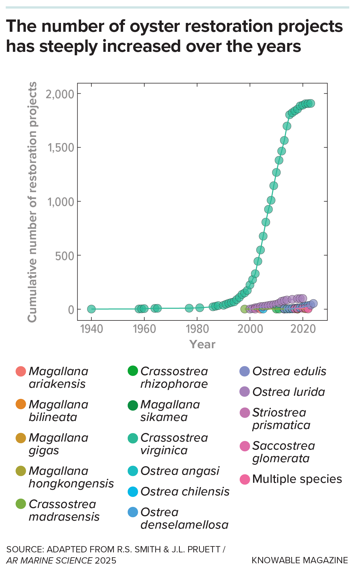 A graph from 1940 to beyond 2020 shows the cumulative number of restoration projects. Lines are color coded for different oyster species. The vast majority of projects involve the Eastern oyster and the rise is steep.