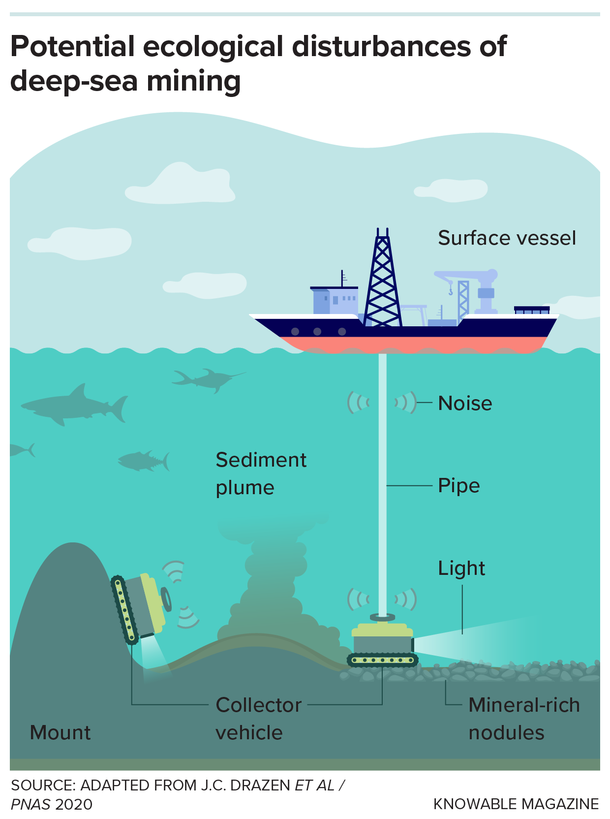 A graphic depicts the basic setup for deep-sea mining and highlights some of the environmental disturbances that concern researchers.