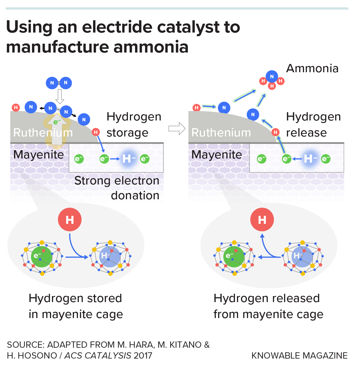 a graphic depicts how atomic bonds of nitrogen are broken using a mayenite catalyst that donates electrons. Then the atoms move onto ruthenium where they are combined with hydrogen (stored and then donated by the mayenite) to form ammonia.