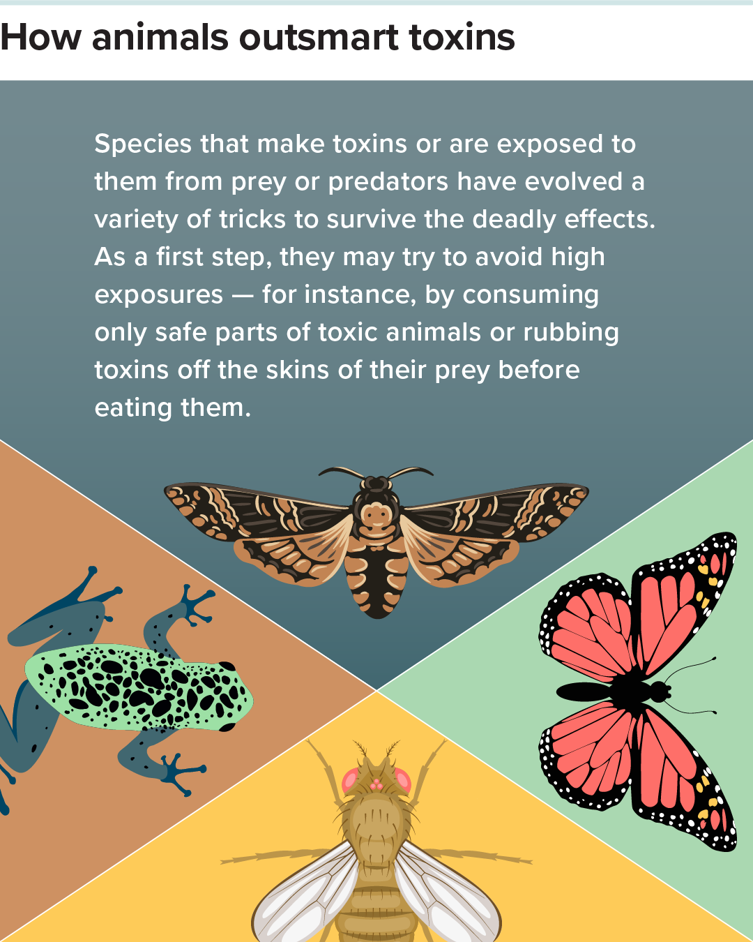 Avoiding toxic tissues