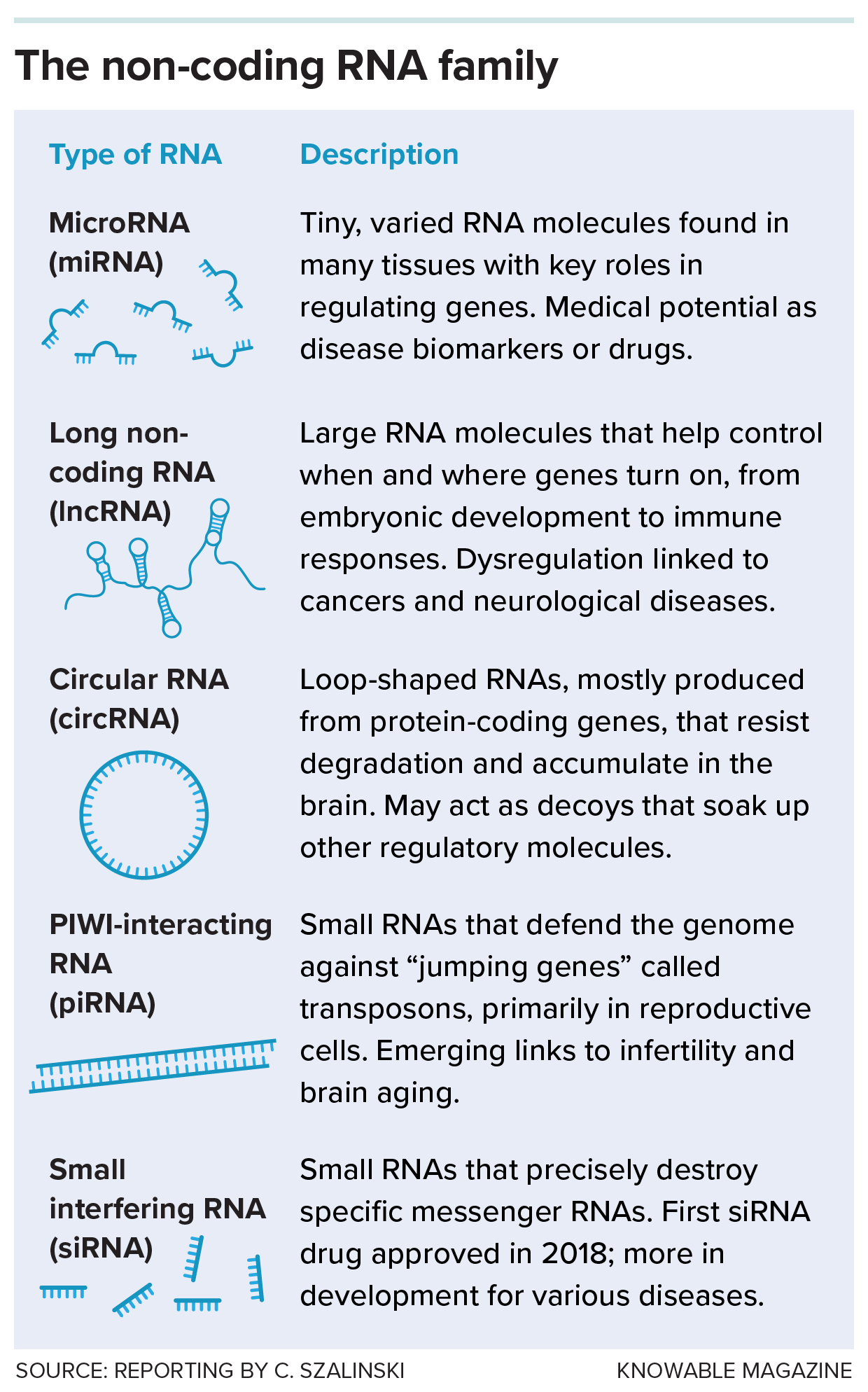 A table describes key aspects of five types of non-coding RNA: miRNA, lncRNA, circRNA, piRNA and siRNA.