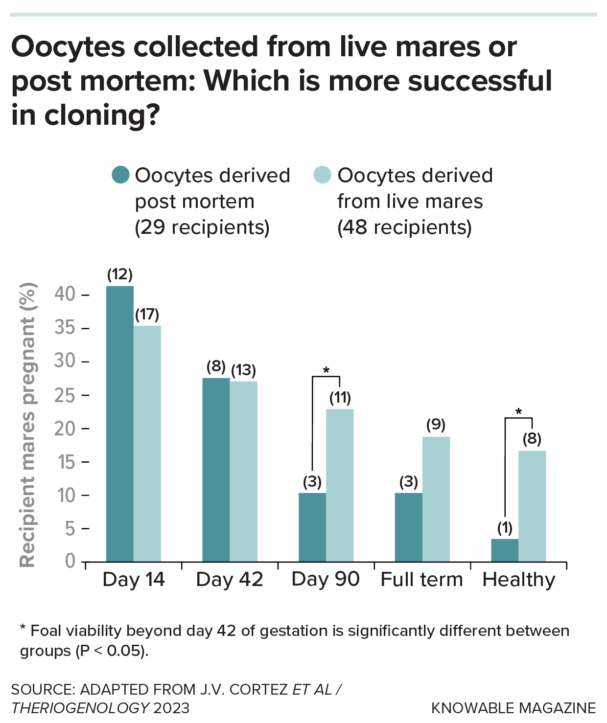 A graphic comparing the success of equine cloning according to the origin of the oocytes.