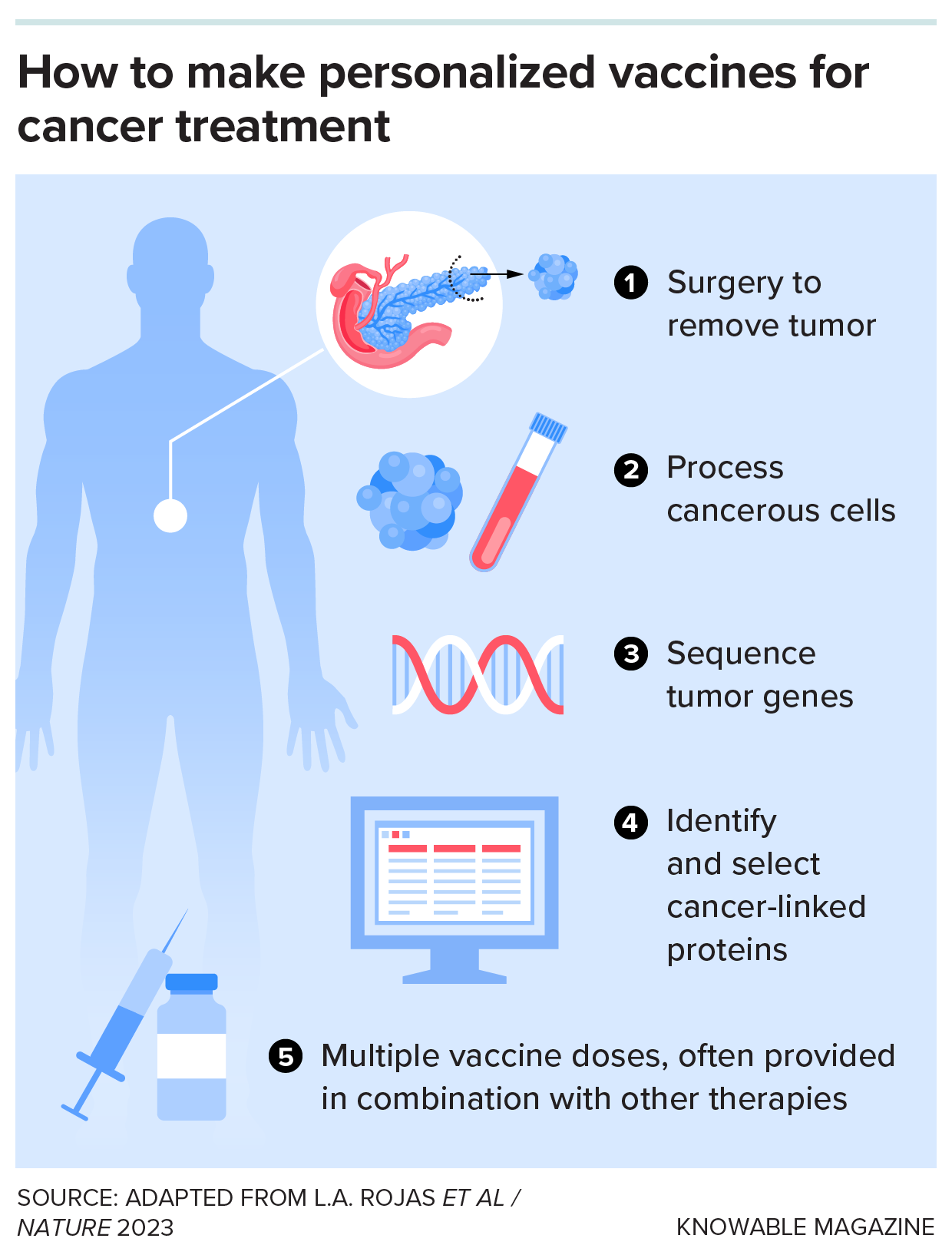 A diagram shows how genes sequenced from patient tumors are used to design and synthesize personalized cancer vaccines.