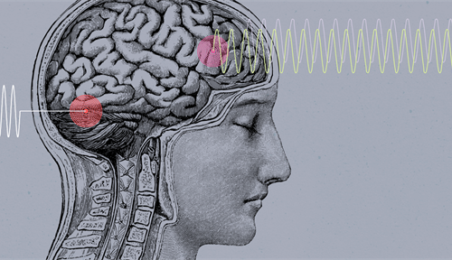 Conceptual art showing brain with two targeted areas being affected by ultrasound waves. Using the tools of sonogenetics, focused ultrasound beams can deliver drugs or gene therapy to targets in the brain with millimeter precision.